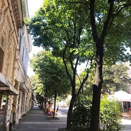 Sobe Kuzmanovic - * Šabac